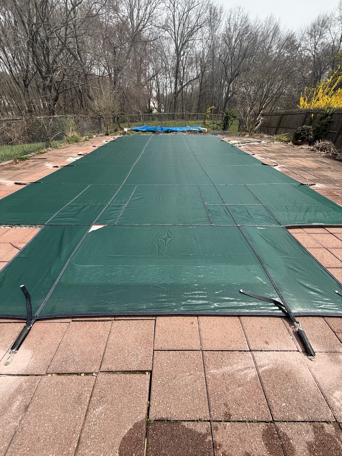 After replacement: a fitted green safety cover installed securely over the same inground pool