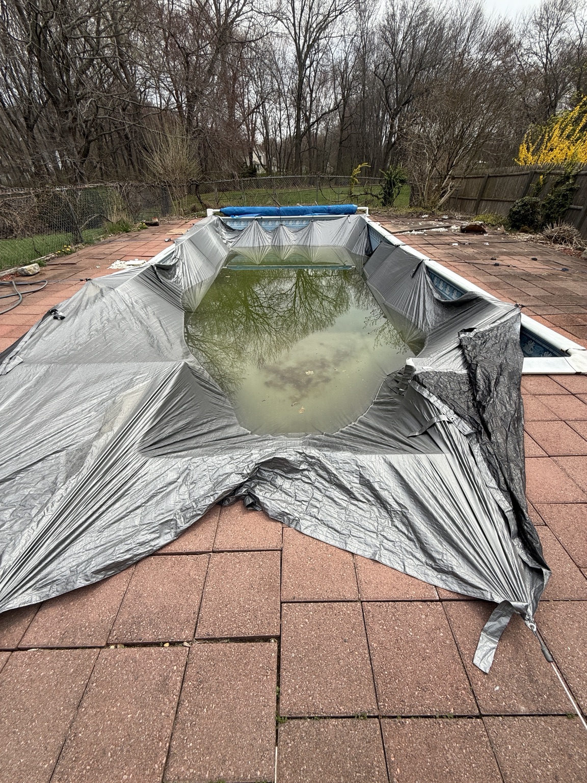 Before replacement: a failed tarp-style pool cover collapsed into an inground pool